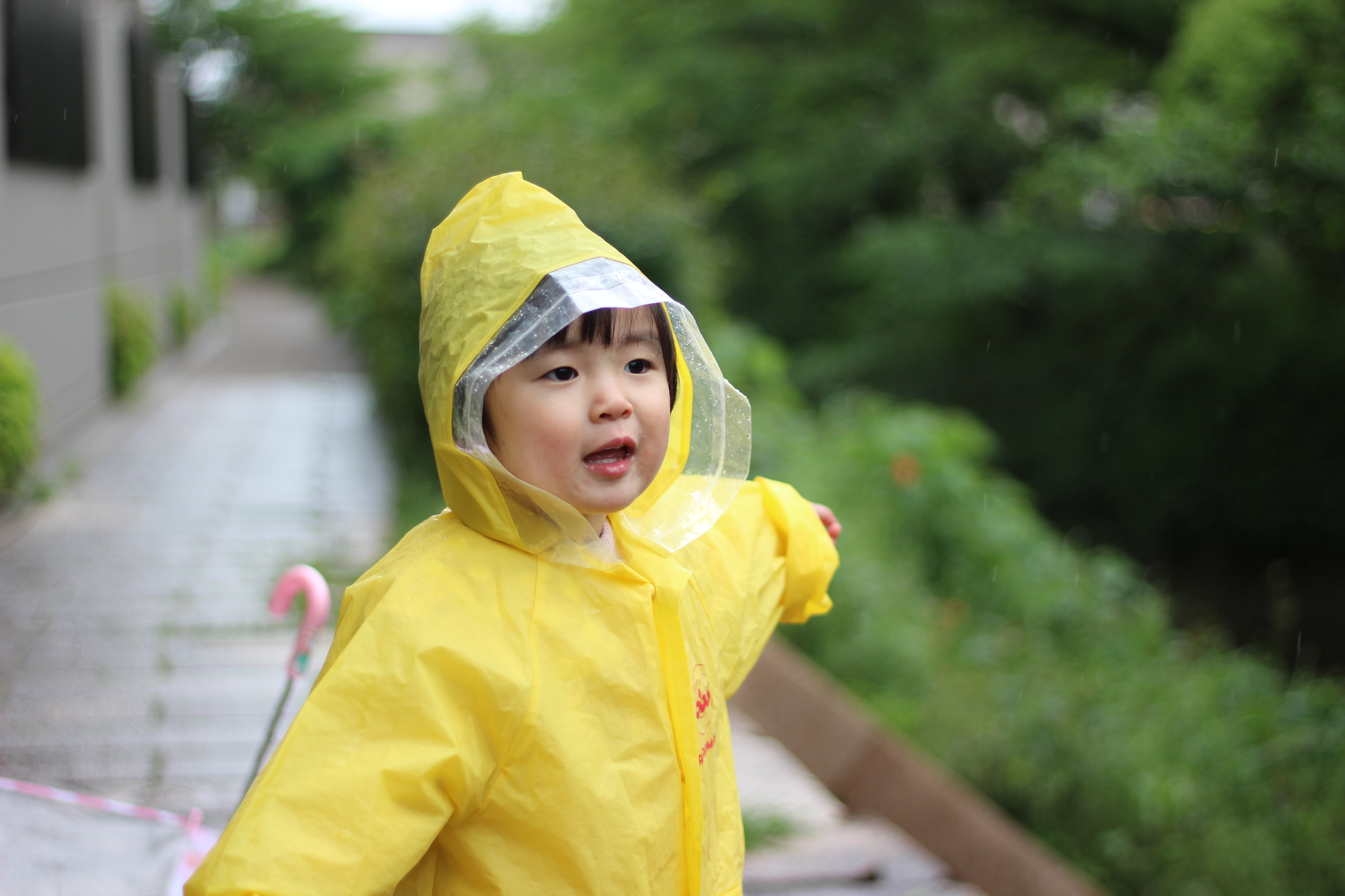 雨の日の冒険
